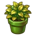 Potted Herb Potted Herb