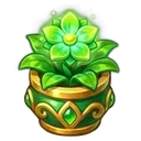 Blooming Herb Blooming Herb