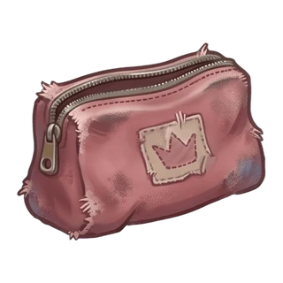 Makeup Pouch